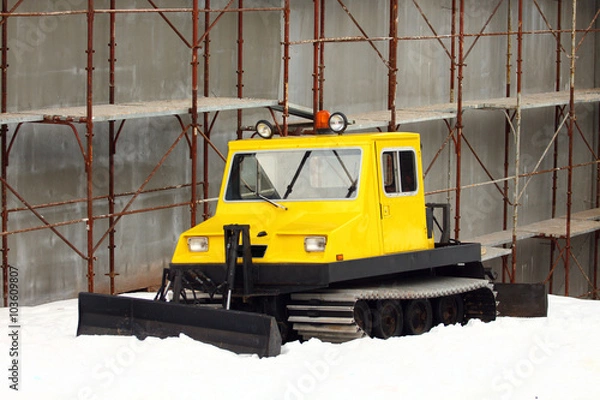 Obraz small yellow snowcat