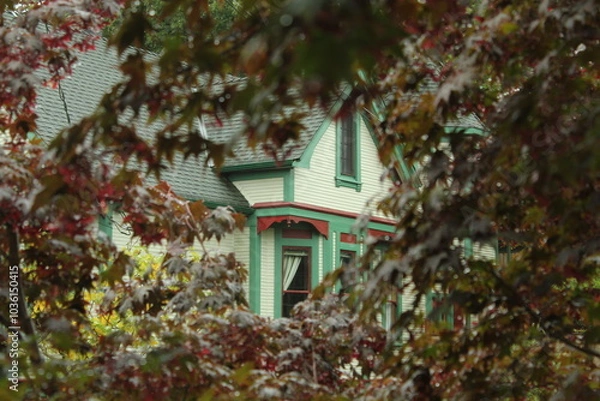 Obraz house through maple leaves