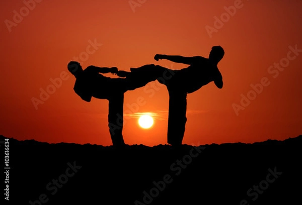 Fototapeta Two Fighters on Sunset