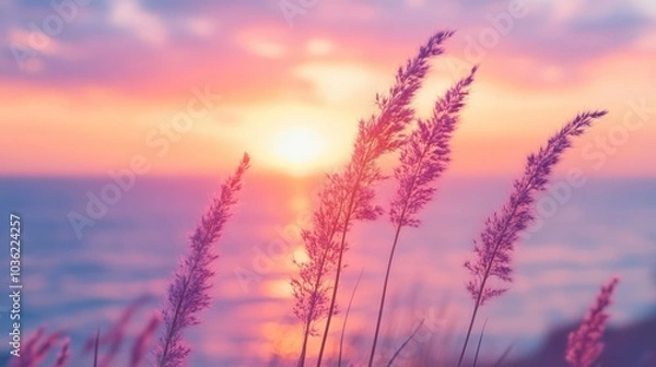 Obraz Little grass stalk close-up with sunset over calm sea, sunset over horizon. Pink & purple pastel watercolor soft tones. Beautiful nature background