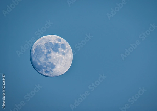 Fototapeta moon in the sky