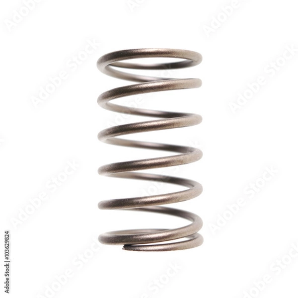 Fototapeta Metal spring isolated on white