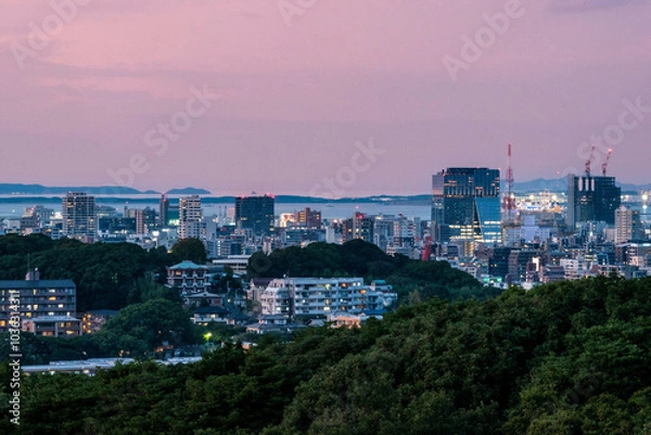 Obraz 福岡市内夕景