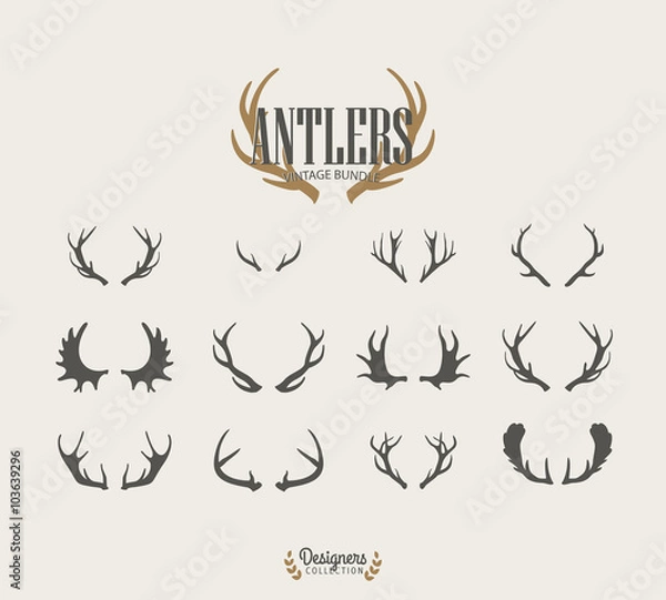 Fototapeta Premium Antler illustrations
