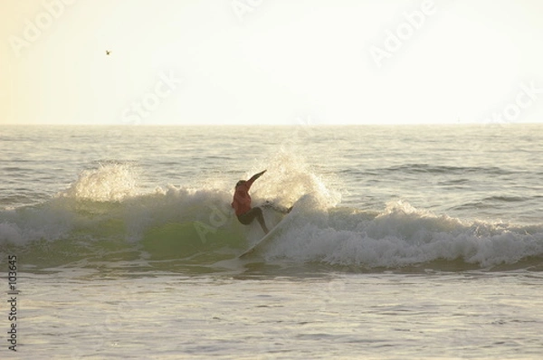 Obraz surfeur