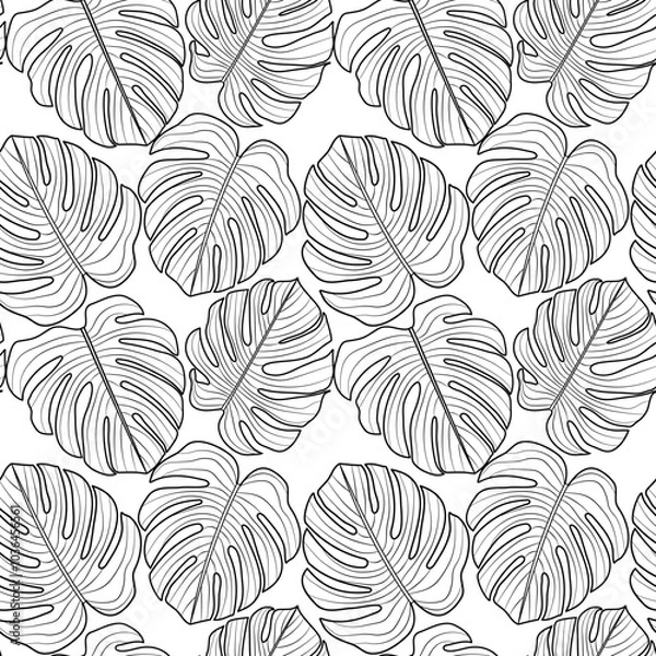 Fototapeta Pattern of openwork monstera leaves, vector graphics.