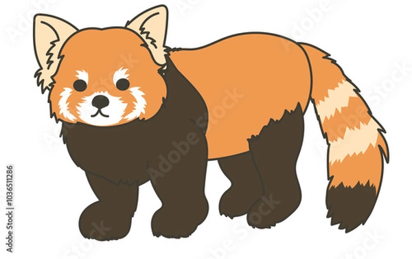 Obraz レッサーパンダ01