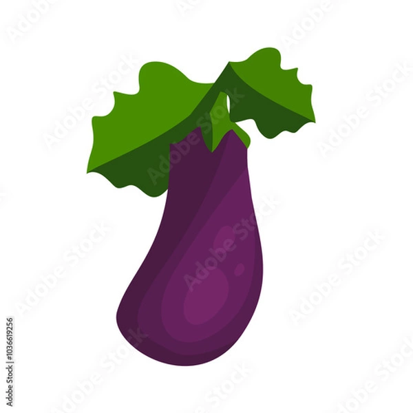 Obraz Eggplant, purple plant, eggplant vector
