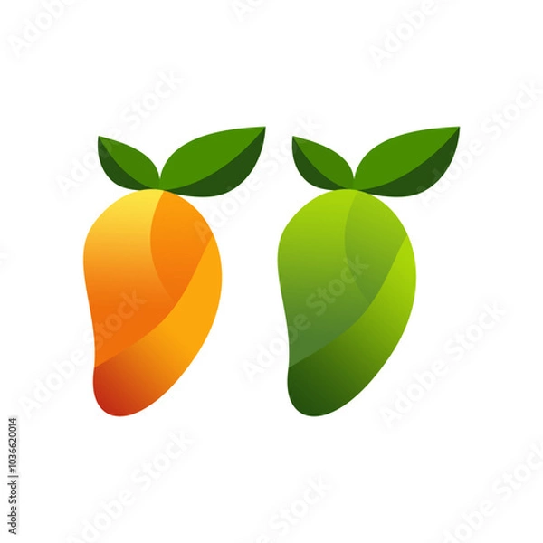 Fototapeta Mango fruit vector, ripe and unripe mango