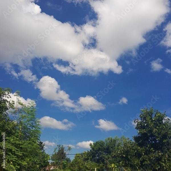 Fototapeta blue sky and clouds