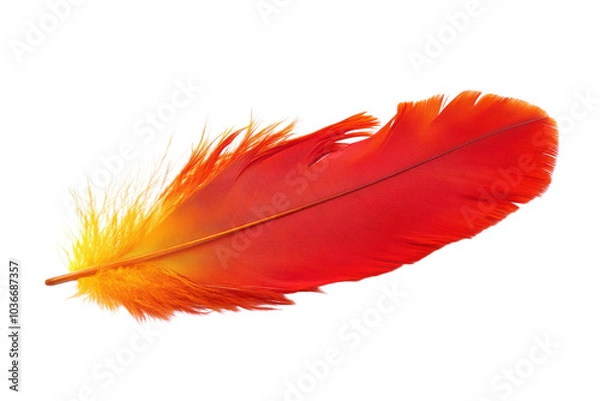 Fototapeta Stunning Isolated Phoenix Feather on transparent Background Ideal for Creative Projects and Digital Art Inspiration