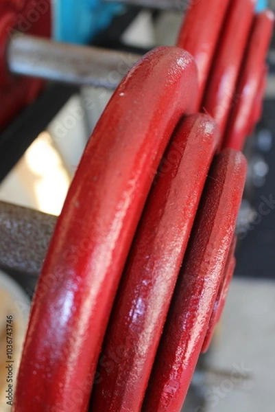 Fototapeta A close up of some red and teal weightlifting dumbells on a rack. 