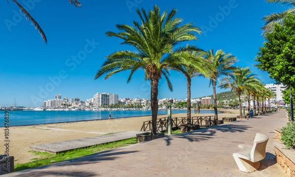 Fototapeta Mid morning sun, walk along the beach near the city.  Warm sunny day along the water's edge in Ibiza, St Antoni de Portmany Balearic Islands, Spain - city by the bay, row of palms lines the beach.