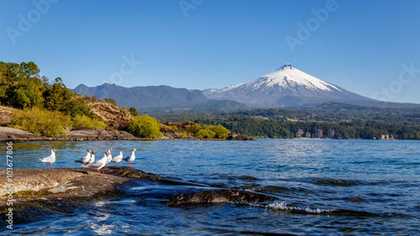 Fototapeta Villarrica Volcano in Pucon Chile