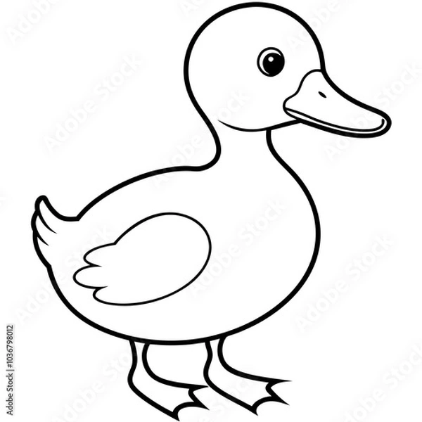 Fototapeta Duckling
