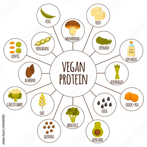 Fototapeta Vegan protein icons