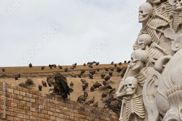 Obraz Vulture at Sky burial site in Larung Gar. a famous Lamasery in Seda, Sichuan, China