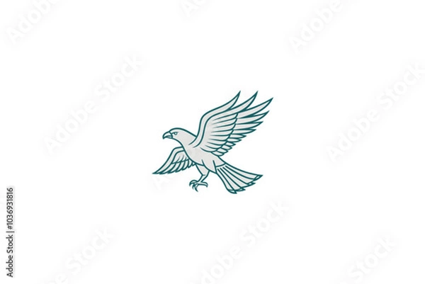Obraz Eagle flying, eagle head, eagle logo, eagle line art