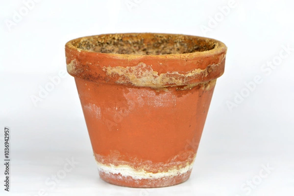 Fototapeta the closeup of an isolated old and empty pot