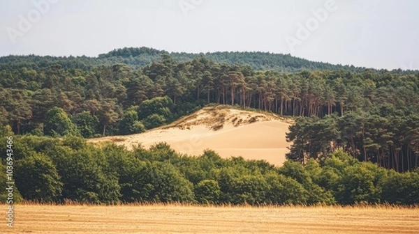 Fototapeta Serene Dunes Surrounded by Lush Forests