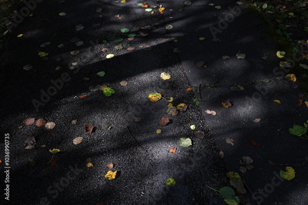 Fototapeta Asphalt pavement in autumn. Asphalt sidewalk in autumn covered with falling yellow leaves from trees, High Tatras.
