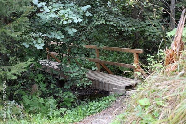 Fototapeta Wooden bridge on the hiking trail from Tatranska Matliare to Tatranska Lomnica in the High Tatras, Slovakia. 