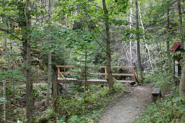 Fototapeta Wooden bridge on the hiking trail from Tatranska Matliare to Tatranska Lomnica in the High Tatras, Slovakia. 