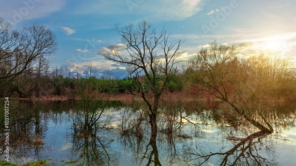 Fototapeta swamp dramatic landscape water reflection smooth surface bare branches trees of cold early spring season time March month sun rise light background scenic view