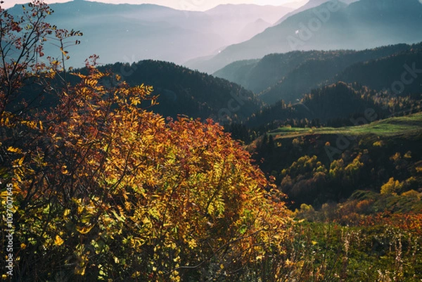 Fototapeta Autumn in the mountains