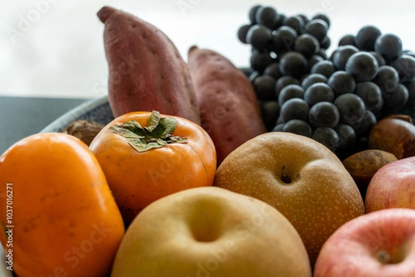 Obraz 籠に入った秋の味覚：柿・林檎・梨・葡萄・薩摩芋