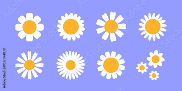 Fototapeta daisy flowers icons set, camomile flat vector design