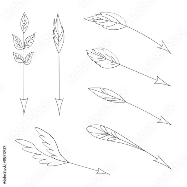 Fototapeta Hand drawing arrow set decorated feathers and leaves
