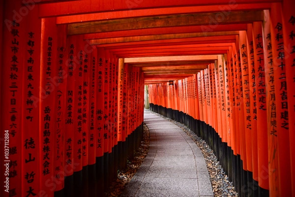 Fototapeta Dramatic view of red gates "Torii", Fushimi Inari Taisha Shrine in Kyoto, Japan. About 1,000 torii gates line to fushimi inari-taisha. The Japanese text mean :bless you