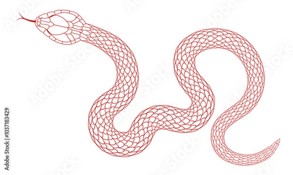 Fototapeta cartoon snake pattern with red line stroke