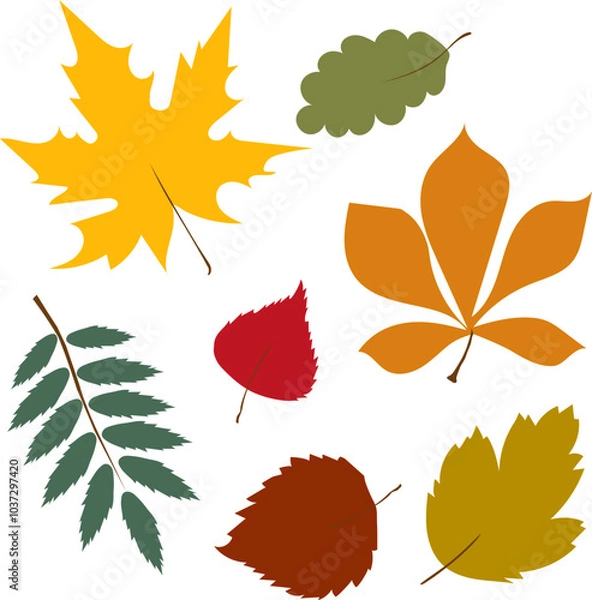 Fototapeta Set of autumn leaves from different trees, oak, maple, chestnut. Simple, yellow, red, orange fall leaf set for pattern, banner, sticker, Hello autumn card. Flat vector illustration on white background