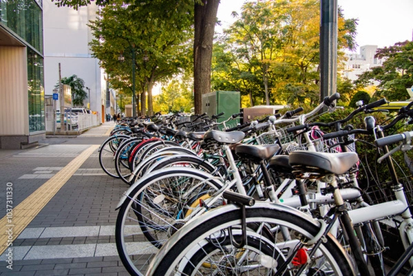 Obraz 歩道に並ぶ自転車 北海道札幌市