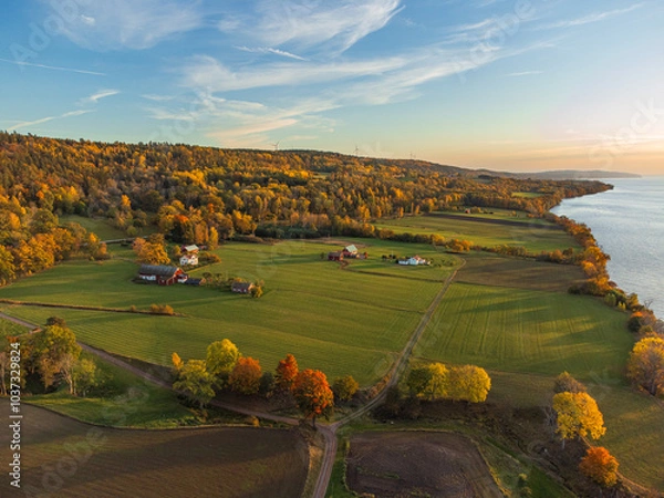 Fototapeta Autumn rural landscape in Sweden near Gränna, from above with vibrant colors and large open fields, at sunset. Orange, yellow and green trees, green open fields, red houses.