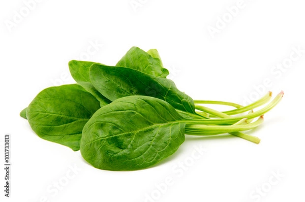 Obraz Szpinak na białym tle