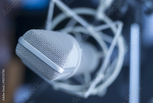 Obraz microphone
Brauner anniversary edition