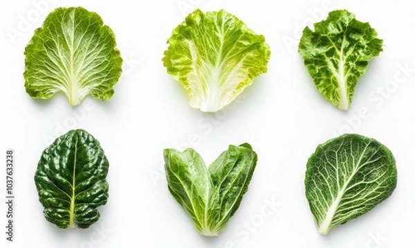 Fototapeta A collection of leafy greens are arranged in a row