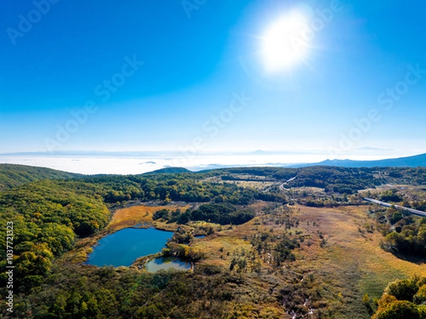Obraz 八幡平の赤沼と御在所沼（岩手県八幡平市）