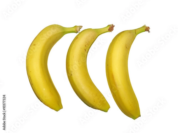 Obraz OLYMPUS DIGITAL CAMERA