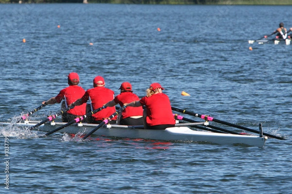 Obraz red rowers