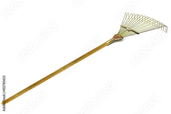 Obraz Grabie na białym tle