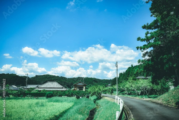 Fototapeta 日本の夏の風景