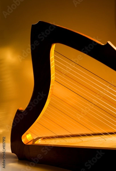 Fototapeta shepherd's harp in the light, amber