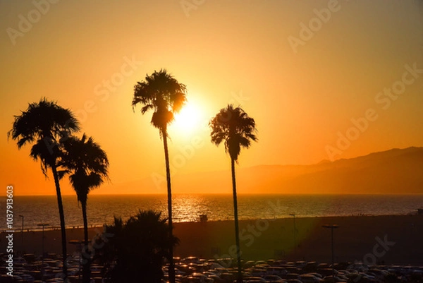 Fototapeta ロサンゼルスサンタモニカのサンセット
