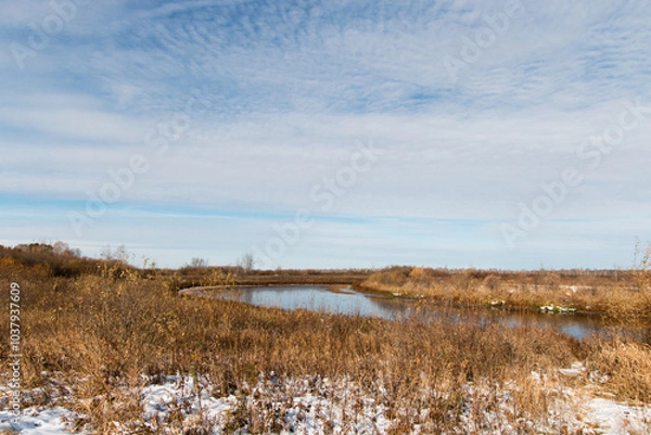 Fototapeta Autumn landscape. Cold, blue sky above the horizon. Sunny day. First, white snow melts on a field with dry grass. There is a lake in the background.
