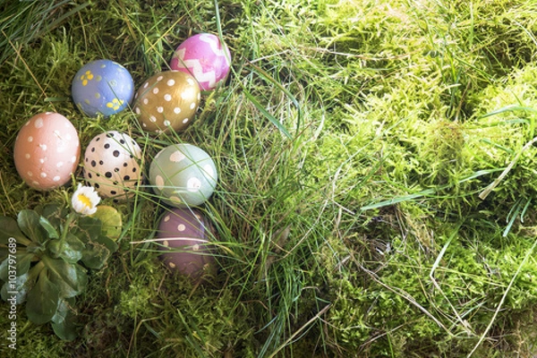 Obraz Oeufs de Pâques dans l'herbe