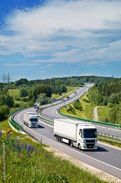 Obraz Białe ciężarówki jeżdżą wzdłuż autostrady asfaltowej z elektroniczną bramą opłat w zalesionym krajobrazie. Widok z góry. Słoneczny letni dzień z niebieskim niebem i białymi chmurami.
